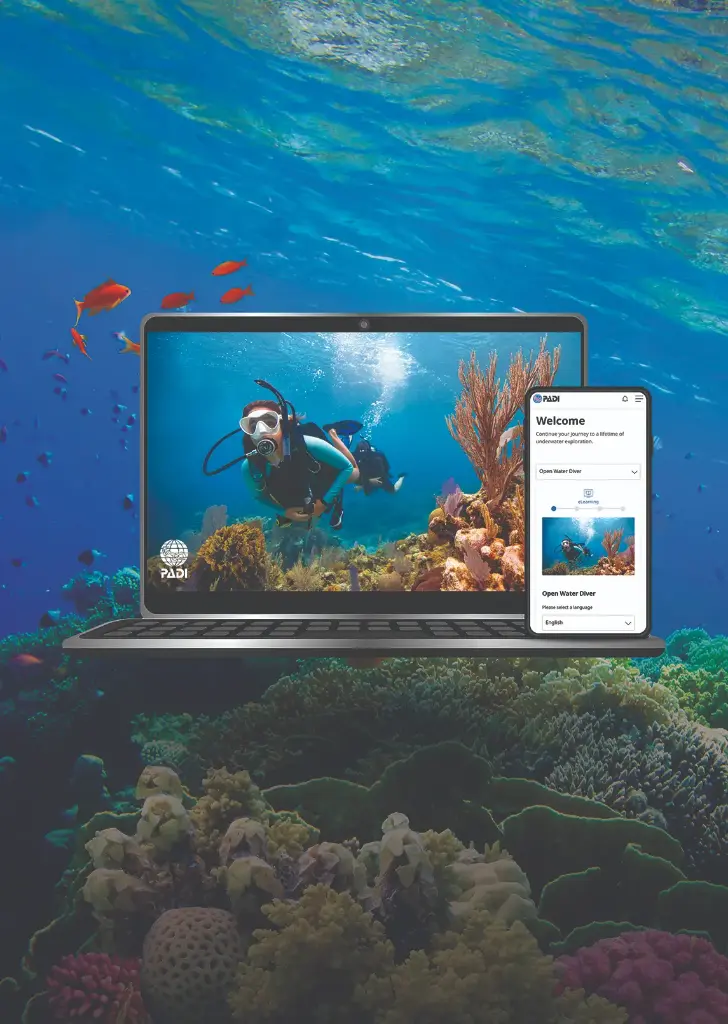 PADI Course Manual & Certification Fees