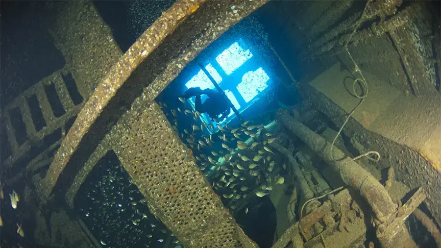 PADI Wreck Diver