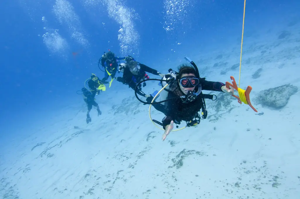 PADI Drift Diver