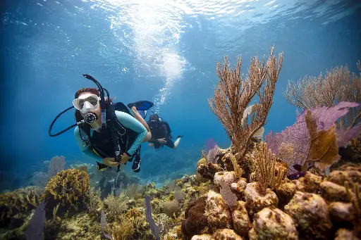 [102] PADI Scuba Diver